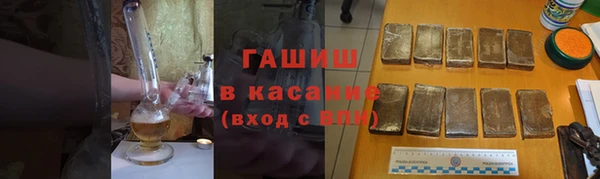 прущие грибы Аркадак